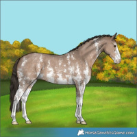 Horse Color:Liver Red Dun Sabino