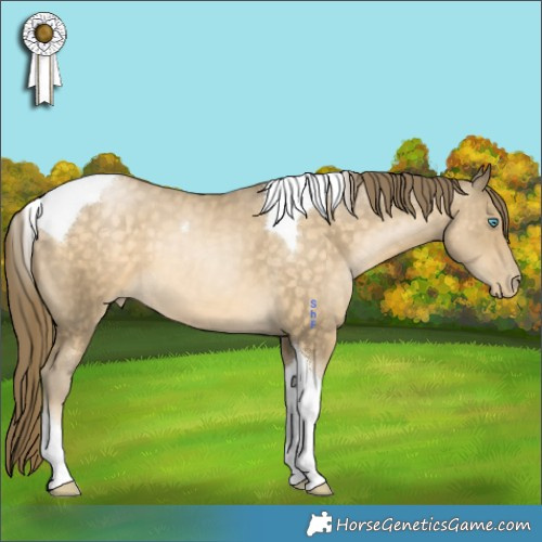 Horse Color:Buckskin Pearl Tobiano 