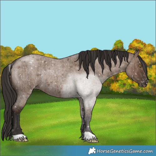 Horse Color:Liver Red Dun Roan Snowflake VarnishRabicano Brindle 