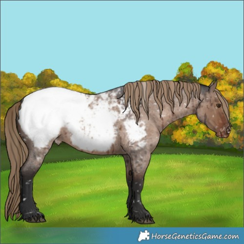 Horse Color:Liver Red Dun Roan Near Fewspot Rabicano Brindle