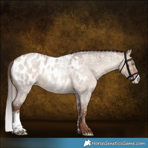Horse Color:Sable Champagne Roan Dun Sabino Near Leopard
