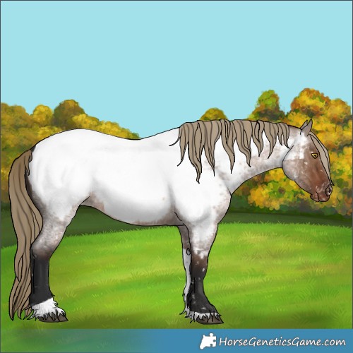 Horse Color:Liver Red Dun Roan Tobiano Near Fewspot Brindle