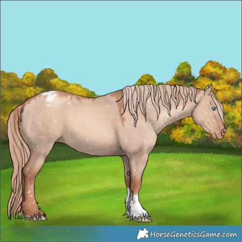 Horse Color:Gold Champagne Dun Sabino Tobiano Snowflake Varnish