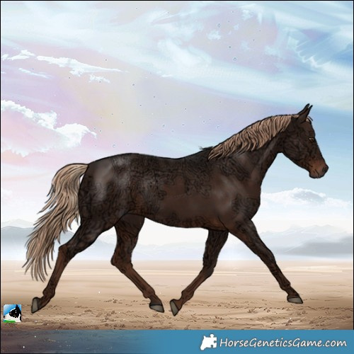 Horse Color:Liver Chestnut Ice Rabicano 
