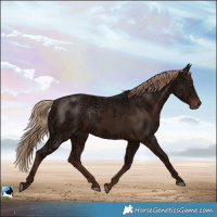 Horse Color:Liver Chestnut Ice Rabicano 