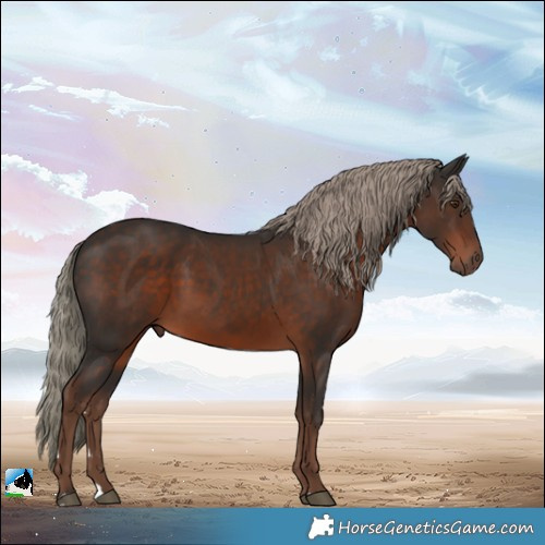 Horse Color:Liver Chestnut Mushroom 