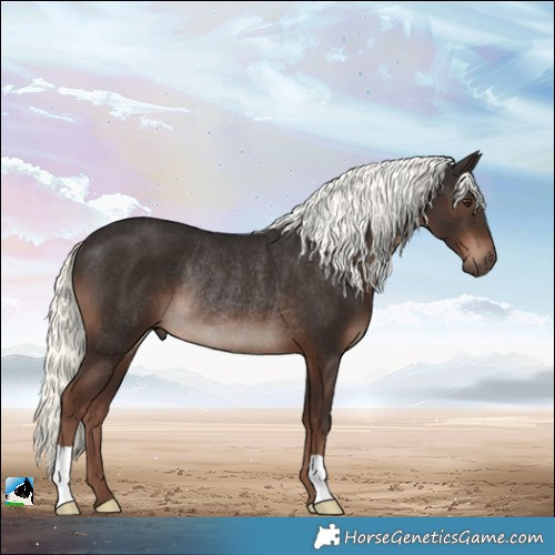 Horse Color:Liver Chestnut Mushroom Rabicano