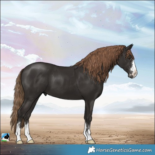 Horse Color:Liver Chestnut