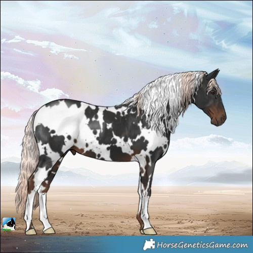 Horse Color:White Spotted Liver Chestnut Mushroom 