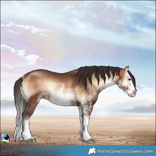 Horse Color:White Spotted Bay Onyx Splash Rabicano 