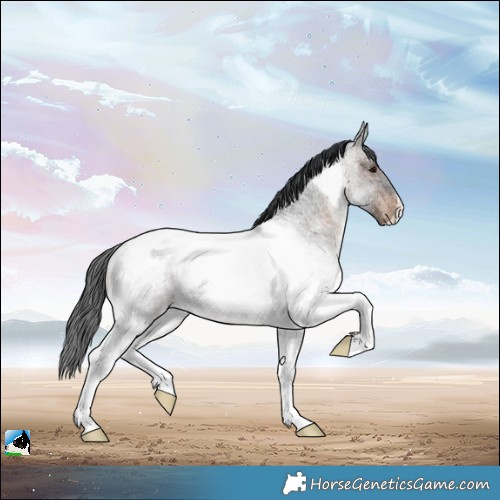 Horse Color:Brown Roan Tobiano Rabicano 