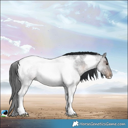 Horse Color:Brown Roan Tobiano Rabicano 