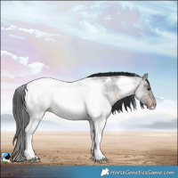 Horse Color:Brown Roan Tobiano Rabicano 