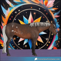 Horse Color:White Spotted Silver Brown