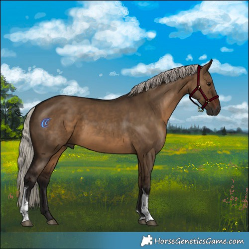 Horse Color:Gray Silver Brown Dun Tobiano 