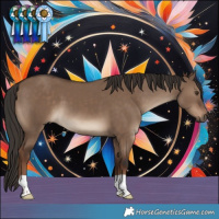 Horse Color:Liver Red Dun