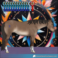 Horse Color:Liver Red Dun
