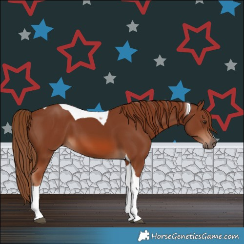 Horse Color:Chestnut Tobiano 