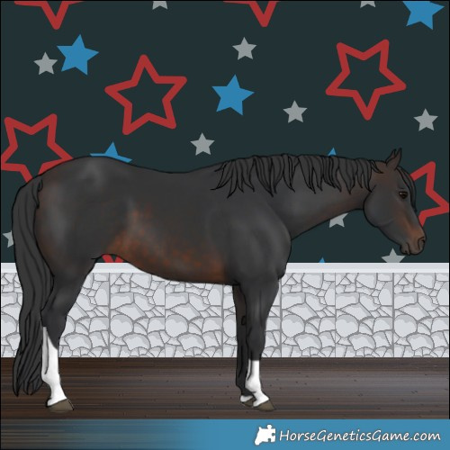 Horse Color:Brown Tobiano 