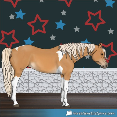 Horse Color:Palomino Tobiano 