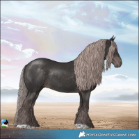 Horse Color:Platinum Liver Chestnut Rabicano