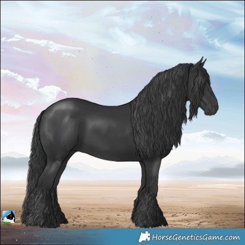 Horse Color:Platinum Black