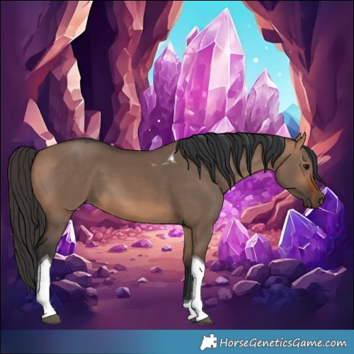 Horse Color:Bay Dun Tobiano