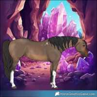 Horse Color:Bay Dun Tobiano 