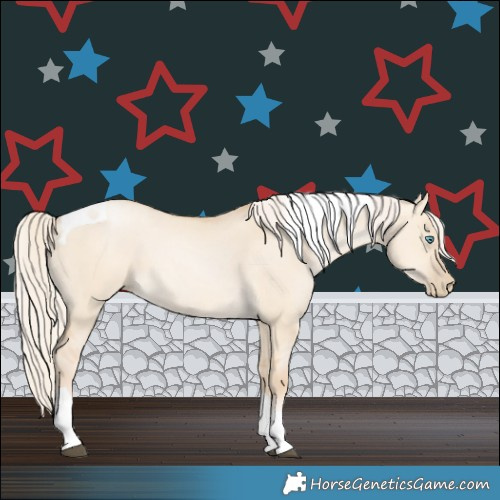 Horse Color:Palomino Dun Tobiano 