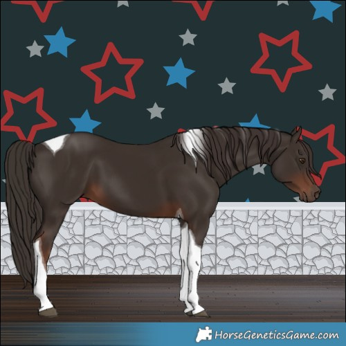Horse Color:Liver Chestnut Tobiano 