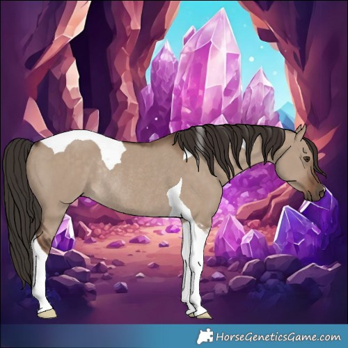 Horse Color:Liver Red Dun Tobiano Rabicano 