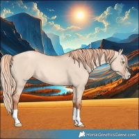 Horse Color:Gold Champagne Dun Splash