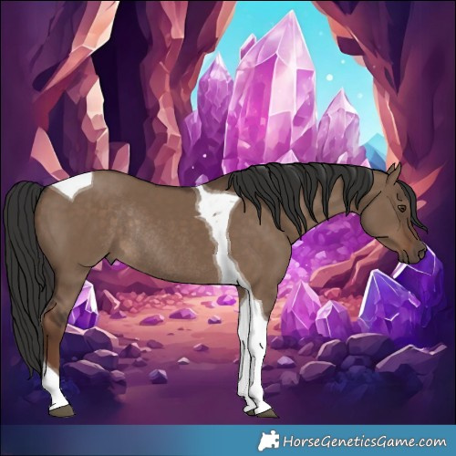 Horse Color:Liver Red Dun Tobiano Rabicano 