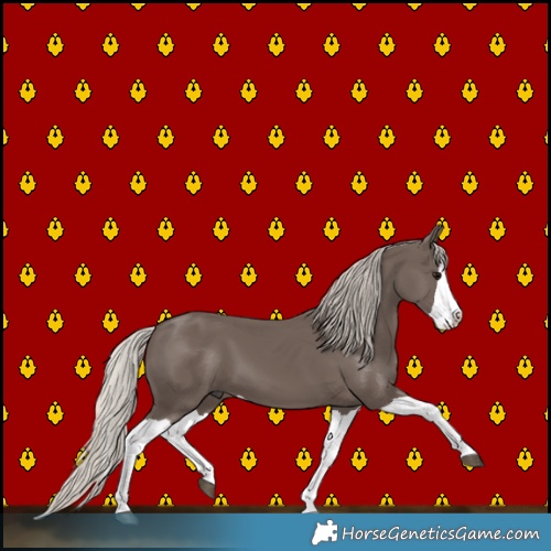 Horse Color:Silver Black Splash 