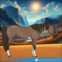 Horse Color:Liver Red Dun Tobiano 