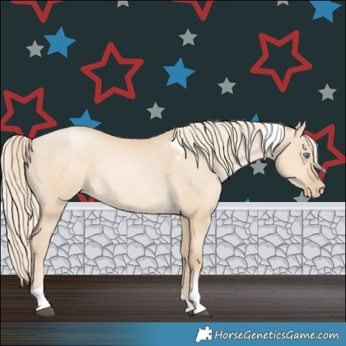 Horse Color:Palomino Snowdrop Dun Tobiano 