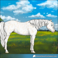 Horse Color:Silver Buckskin Pearl Near Leopard 