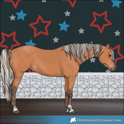 Horse Color:Bay  and Silver Bay 