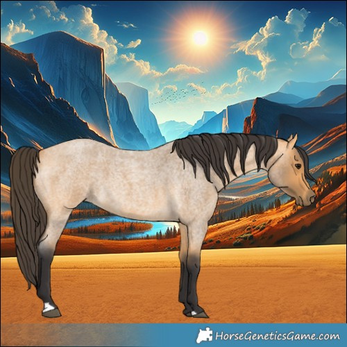 Horse Color:Buckskin Roan