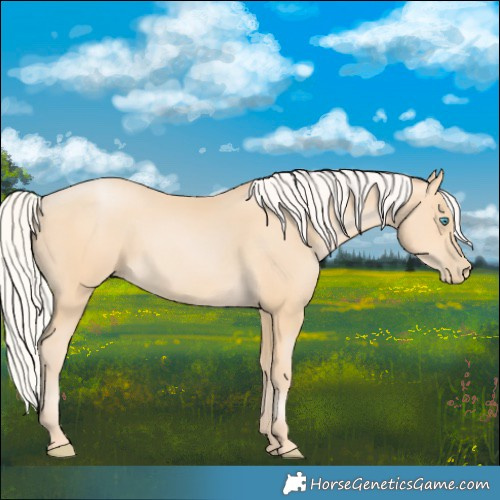 Horse Color:Silver Buckskin Pearl 