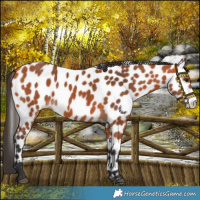 Horse Color:Bay Frame Leopard 