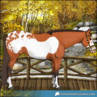 Horse Color:Bay Frame Blanket