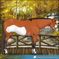 Horse Color:Bay Frame Varnish