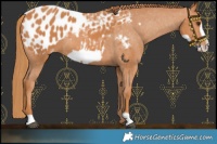 Horse Color:Chestnut Frame Blanket 