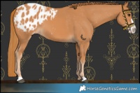Horse Color:Chestnut Frame Blanket 