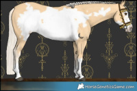 Horse Color:Palomino Frame 