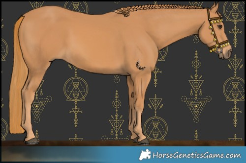 Horse Color:Chestnut Frame 