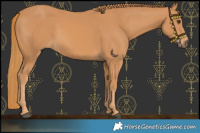 Horse Color:Chestnut Frame