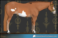 Horse Color:Chestnut Frame 