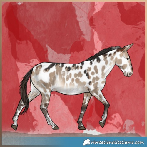 Horse Color:Powder White Bay Dun Appaloosa Rabicano
